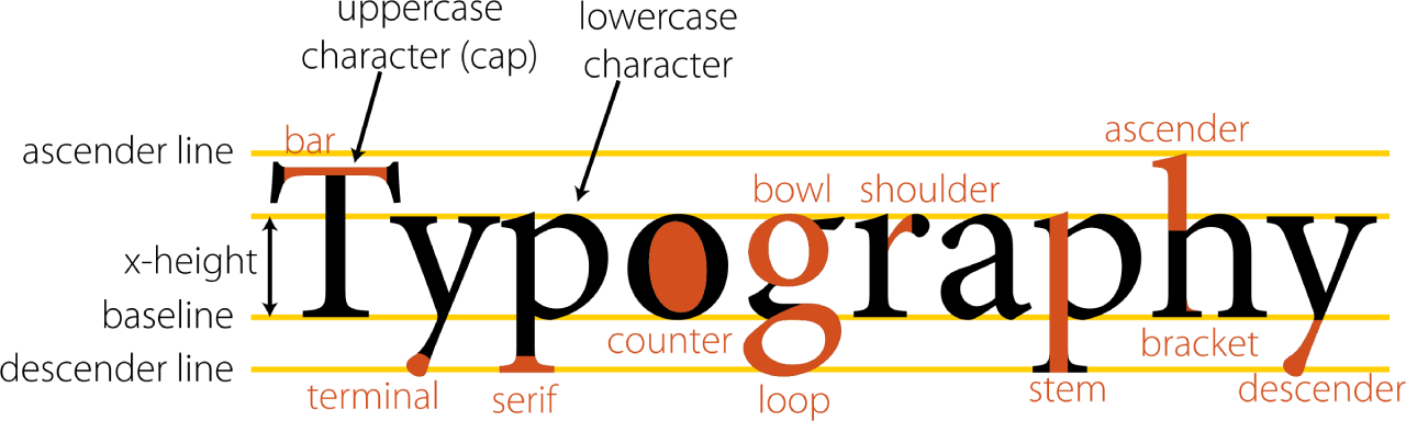 A diagram showing the anatomy of typography