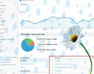 Elevate Your Website Performance