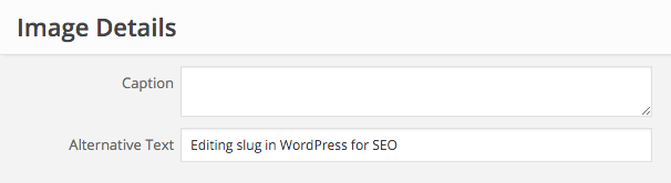 Editing image alt text for SEO