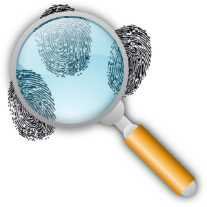 magnifying glass