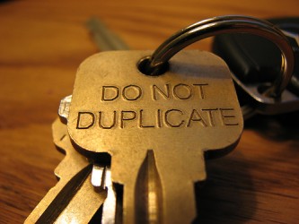 duplicate-333x250