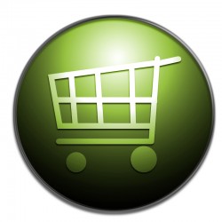 ecommerce-250x250