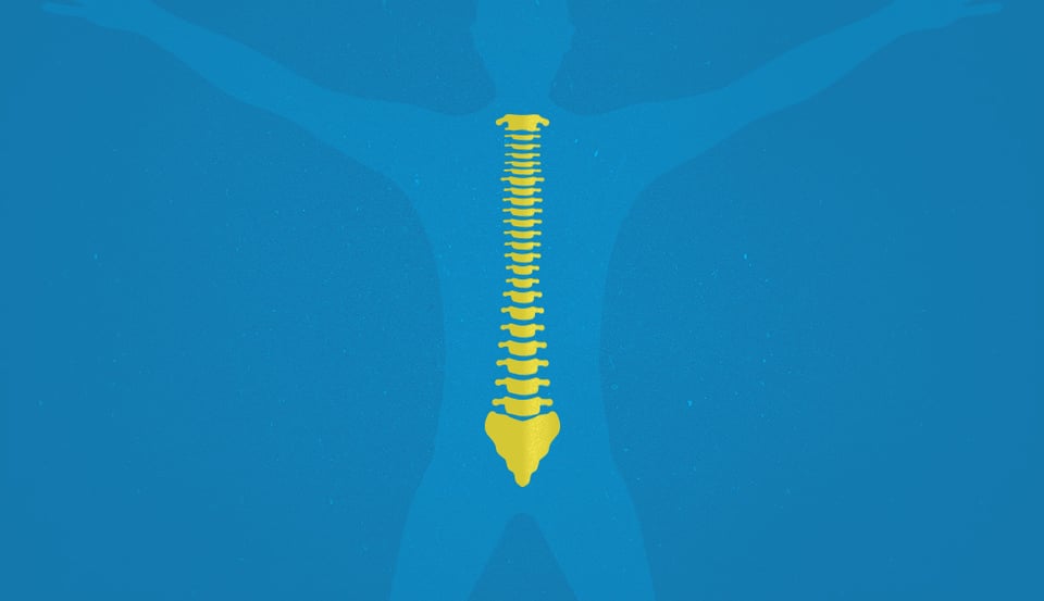 essential-seo-tips-chiropractic-practices