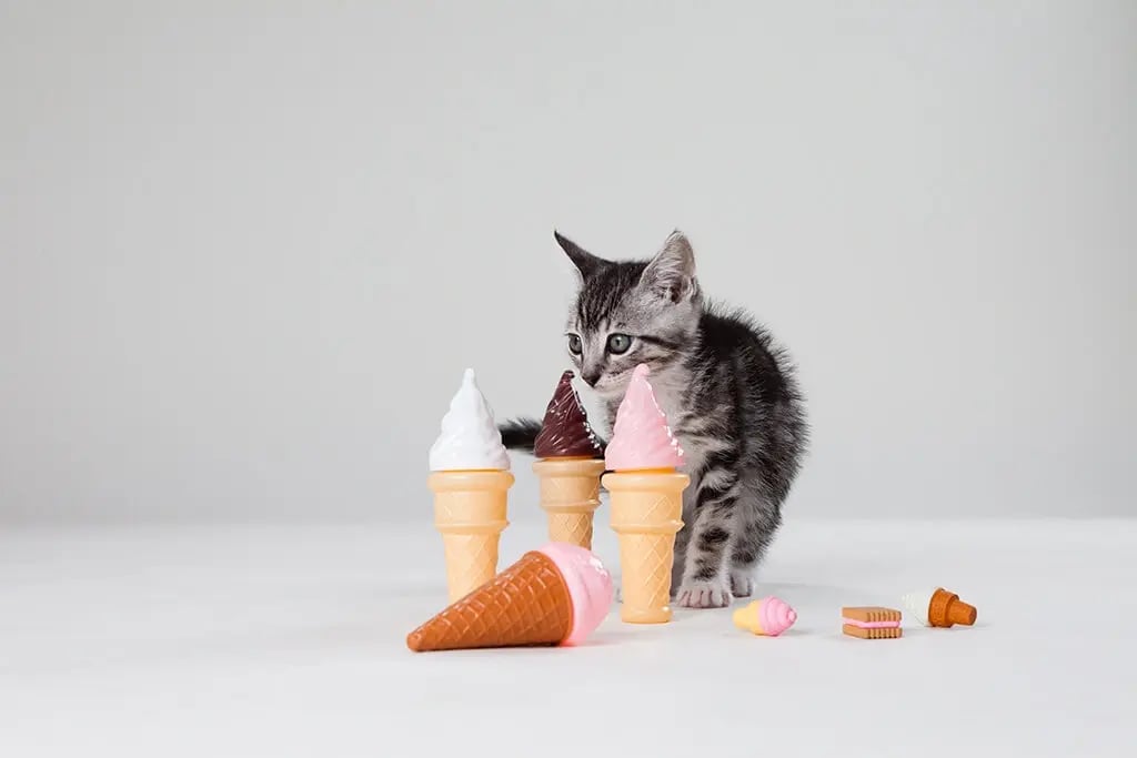 Kittens are always relevant!