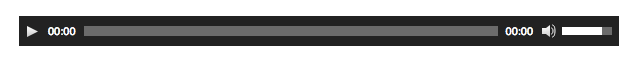 The WordPress editor generated audio player