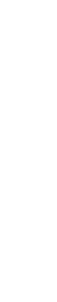 second-r-line second-r-line