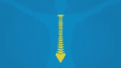 5 Essential SEO Tips for Chiropractic Practices