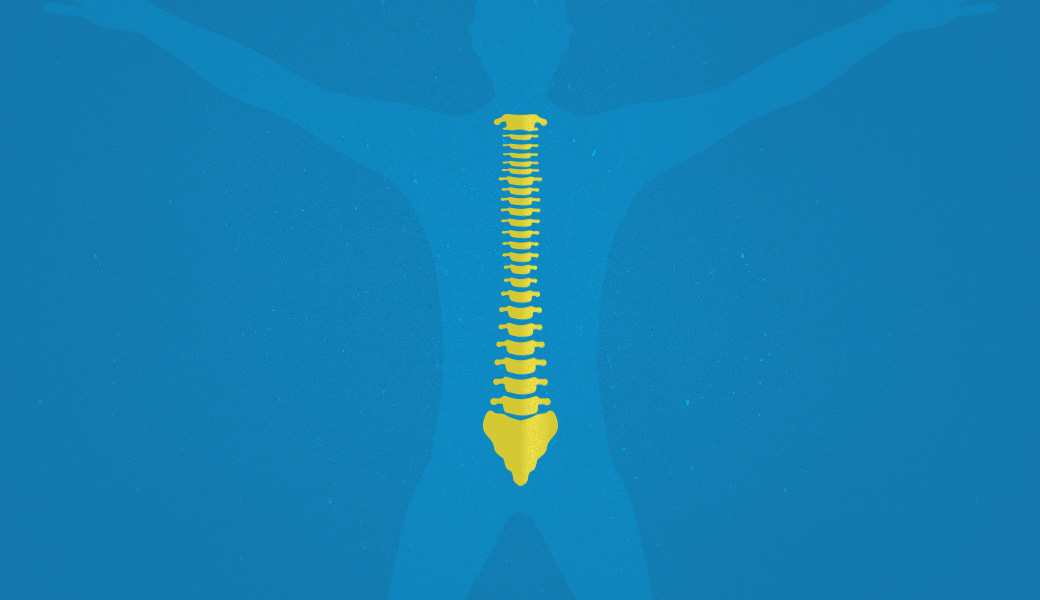 essential-seo-tips-chiropractic-practices